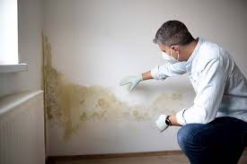 Best Mold Prevention Services  in Ansonia, CT